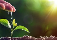 Конференція «HR Junior 2017»