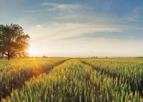 III ежегодная аграрная HR-конференция