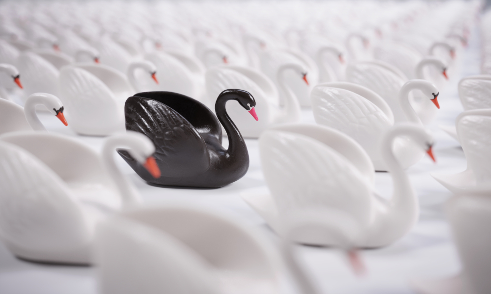 Как адаптироваться к «черному лебедю»: алгоритм для лидера и бизнеса