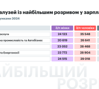 Галузі з найбільшим розривом у зарплаті