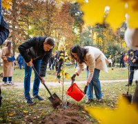 Проєкт «Гай дитячих снів»