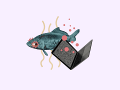 екологічний офіс