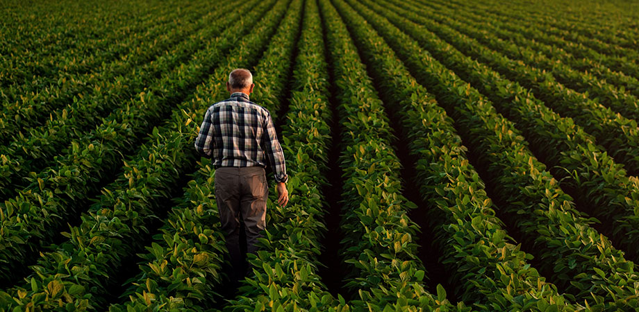 Агроном робота