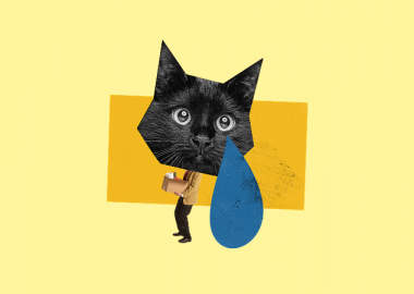 Екологічне звільнення