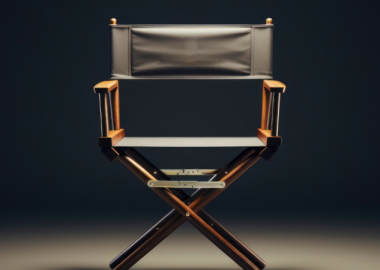 Професія режисер