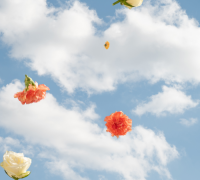 корпоратив до 8 березня