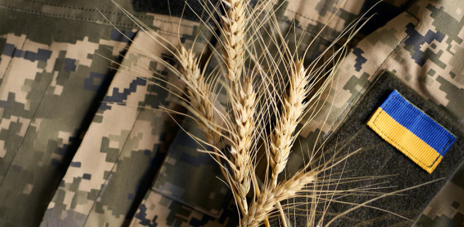 Робота в Military Tech: 10 вакансій для різних спеціалістів