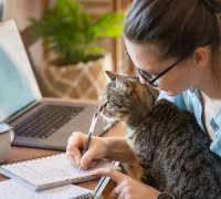 завдання поза компетенцією