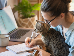 завдання поза компетенцією