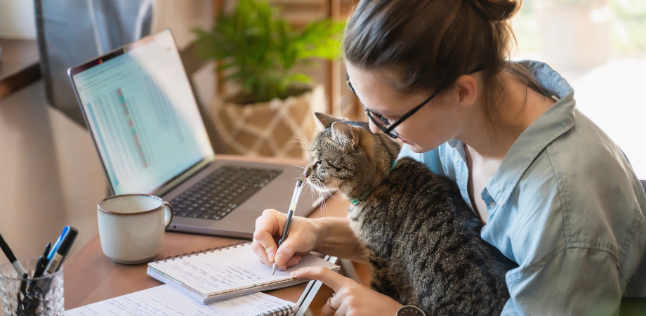 Що робити, якщо доручення виходять за межі вашої компетенції? 7 дієвих порад